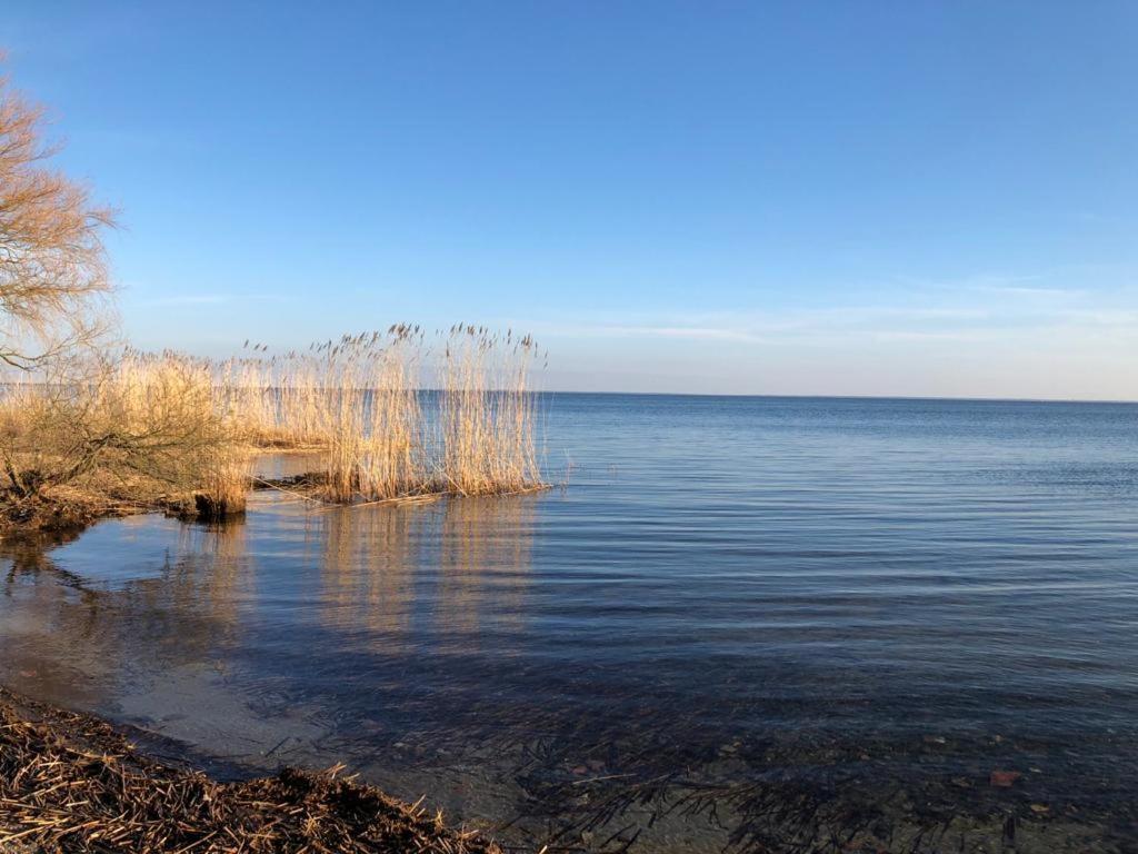 Ferienwohnung Seeblick - Insel Usedom Balm Екстер'єр фото